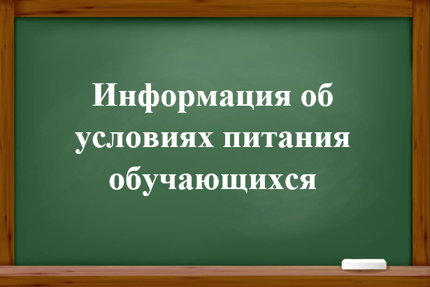 Информация об условиях питания обучающихся.